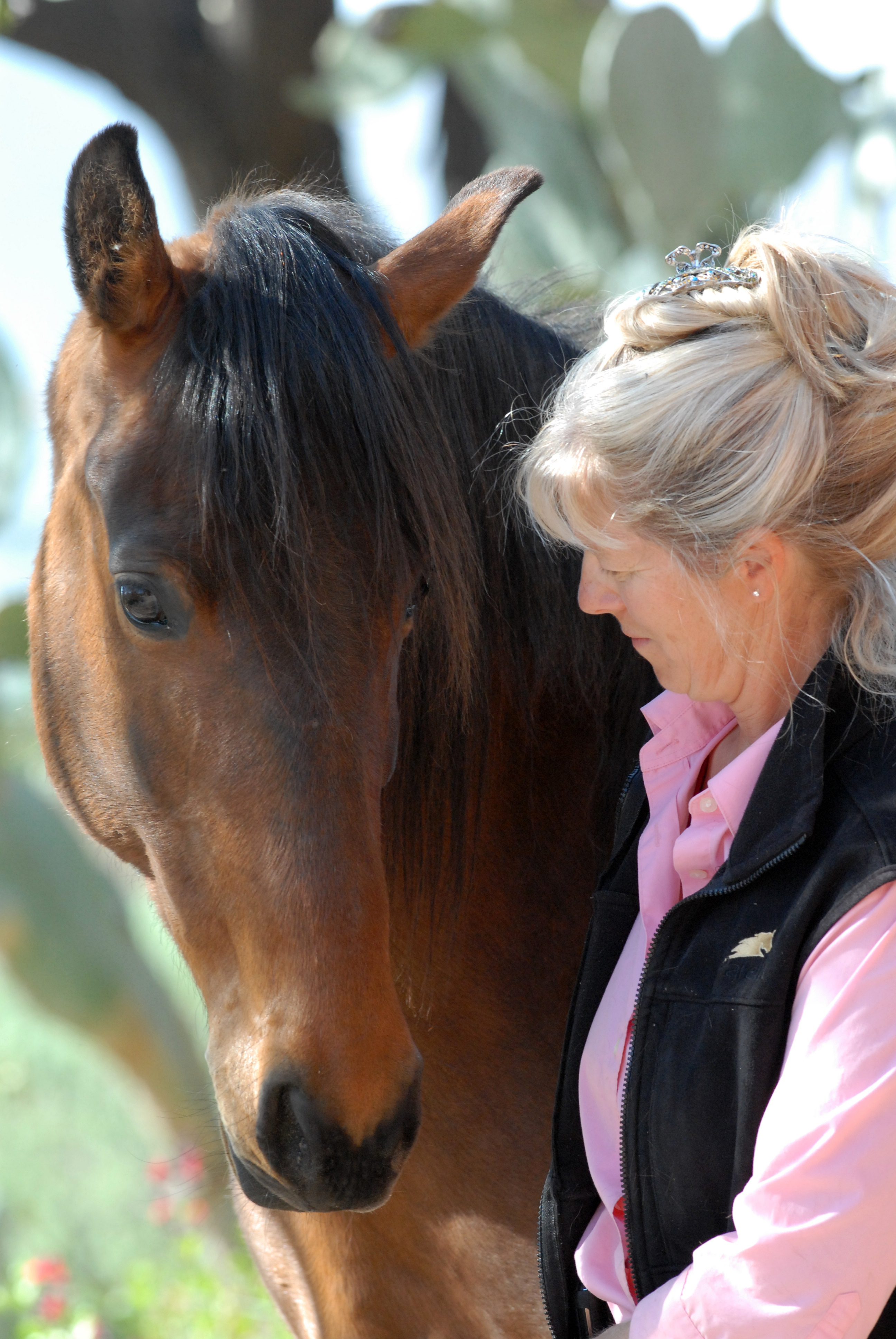 Build a better bond and relationship with your horse!